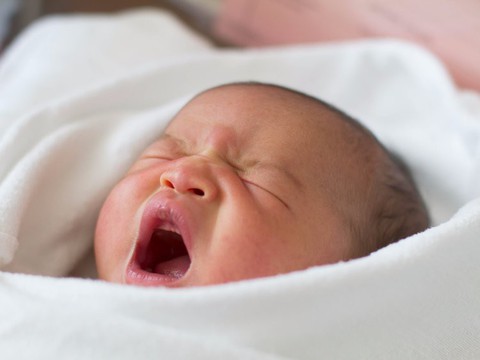Kinh tế suy thoái, người Mỹ ngại sinh con - Ảnh 1. Kinh tế suy thoái, người Mỹ ngại sinh con - Ảnh 1.