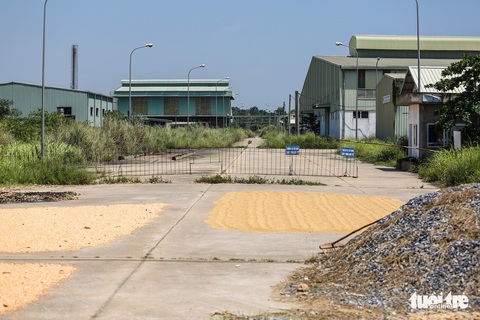 Dự án Ethanol nghìn tỉ ở Phú Thọ trở thành đống rỉ sét - Ảnh 6. Dự án Ethanol nghìn tỉ ở Phú Thọ trở thành đống rỉ sét - Ảnh 6.
