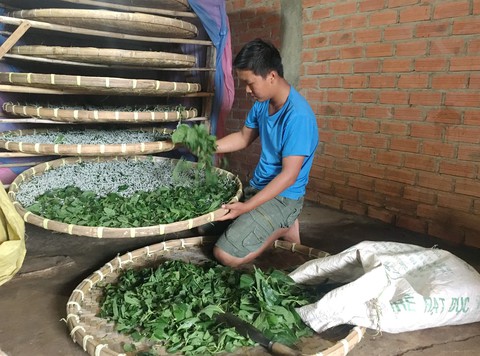 Vươn lên từ đất đỏ - Ảnh 1. Vươn lên từ đất đỏ - Ảnh 1.