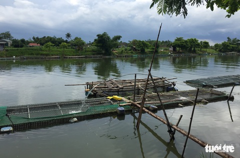 Hàng trăm lồng cá chết vì thủy điện không xả, nước sông Bồ không chảy - Ảnh 4. Hàng trăm lồng cá chết vì thủy điện không xả, nước sông Bồ không chảy - Ảnh 4.