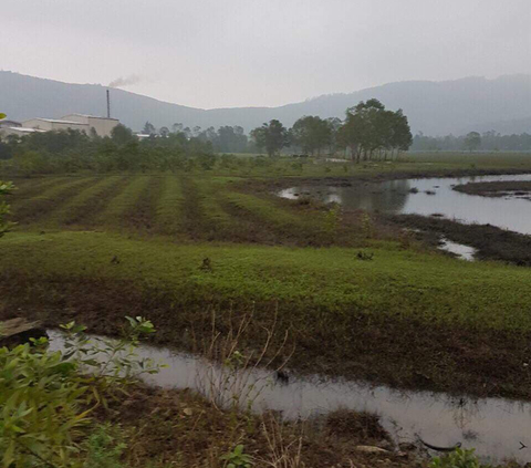 Nguyên chủ tịch xã chiếm đất giao cho người thân - Ảnh 1. Nguyên chủ tịch xã chiếm đất giao cho người thân - Ảnh 1.