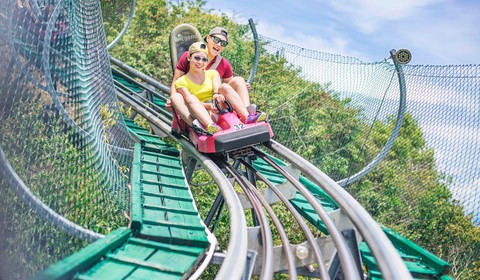 7 cấp độ mạo hiểm tại Vinpearl Land - Ảnh 3. 7 cấp độ mạo hiểm tại Vinpearl Land - Ảnh 3.