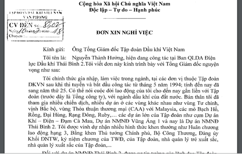 Sếp nhà máy nhiệt điện xin nghỉ việc vì sợ... rủi ro pháp lý - Ảnh 3. Sếp nhà máy nhiệt điện xin nghỉ việc vì sợ... rủi ro pháp lý - Ảnh 3.