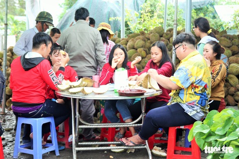 Ùn ùn đi ăn sầu riêng siêu rẻ, chỉ 19.000 đồng/kg - Ảnh 5. Ùn ùn đi ăn sầu riêng siêu rẻ, chỉ 19.000 đồng/kg - Ảnh 5.