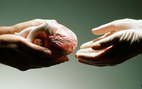Ủng hộ nguyện vọng hiến xác của tử tù cho nghiên cứu khoa học - Ảnh 1. Ủng hộ nguyện vọng hiến xác của tử tù cho nghiên cứu khoa học - Ảnh 1.