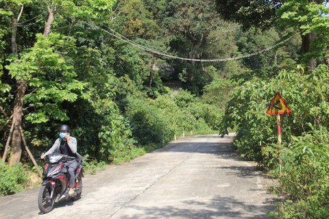 Đà Nẵng đạt danh hiệu Thành phố xanh của WWF - Ảnh 2. Đà Nẵng đạt danh hiệu Thành phố xanh của WWF - Ảnh 2.