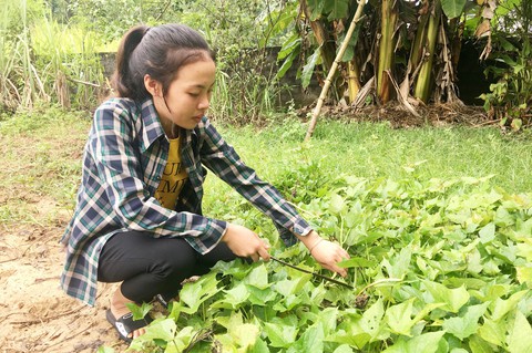 Nữ sinh góp nhặt điểm cao từ những đoạn văn, bài báo - Ảnh 3. Nữ sinh góp nhặt điểm cao từ những đoạn văn, bài báo - Ảnh 3.