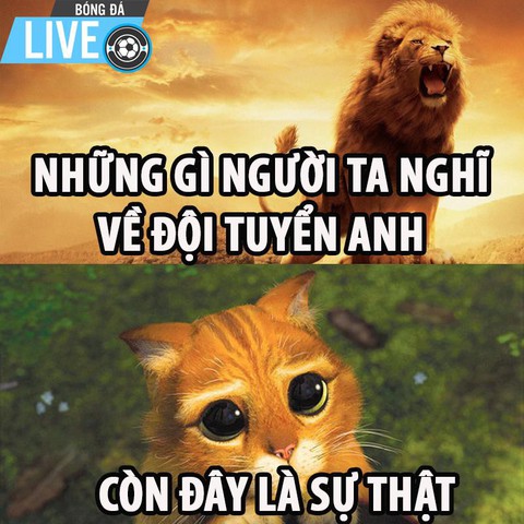 Một nửa thế giới hả hê trước sự ra đi của tuyển Anh - Ảnh 2. Một nửa thế giới hả hê trước sự ra đi của tuyển Anh - Ảnh 2.