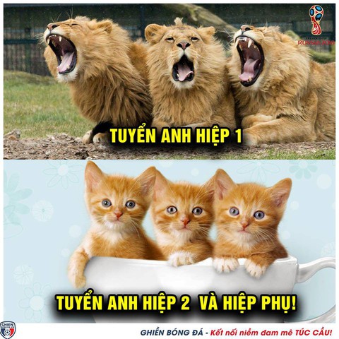 Một nửa thế giới hả hê trước sự ra đi của tuyển Anh - Ảnh 3. Một nửa thế giới hả hê trước sự ra đi của tuyển Anh - Ảnh 3.