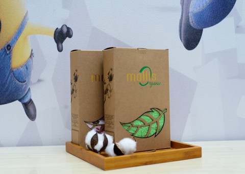 Phong Phú hướng người tiêu dùng đến sống xanh - Ảnh 3. Phong Phú hướng người tiêu dùng đến sống xanh - Ảnh 3.