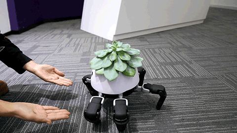 Robot trồng cây có thể tự di chuyển về phía ánh sáng - Ảnh 3. Robot trồng cây có thể tự di chuyển về phía ánh sáng - Ảnh 3.