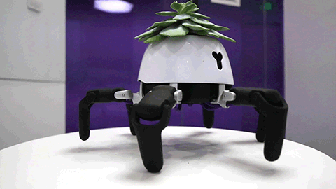 Robot trồng cây có thể tự di chuyển về phía ánh sáng - Ảnh 4. Robot trồng cây có thể tự di chuyển về phía ánh sáng - Ảnh 4.