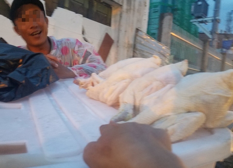Thịt gà thải loại dai ngon nhưng liệu có an toàn? - Ảnh 1. Thịt gà thải loại dai ngon nhưng liệu có an toàn? - Ảnh 1.