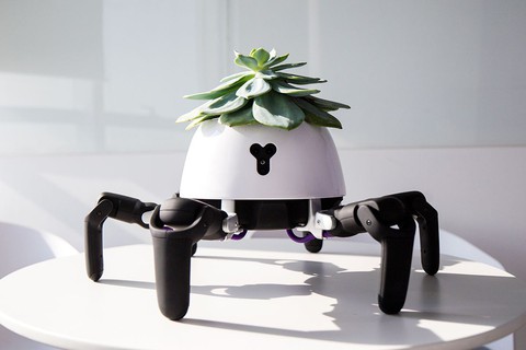 Robot trồng cây có thể tự di chuyển về phía ánh sáng - Ảnh 1. Robot trồng cây có thể tự di chuyển về phía ánh sáng - Ảnh 1.