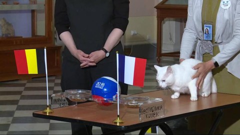 Heo vòi, lạc đà chọn Croatia, bạch tuộc, vẹt tin Pháp sẽ đoạt Cup - Ảnh 6. Heo vòi, lạc đà chọn Croatia, bạch tuộc, vẹt tin Pháp sẽ đoạt Cup - Ảnh 6.