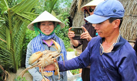 Làm giàu với hải sản dưới tán rừng ngập mặn - Ảnh 1. Làm giàu với hải sản dưới tán rừng ngập mặn - Ảnh 1.