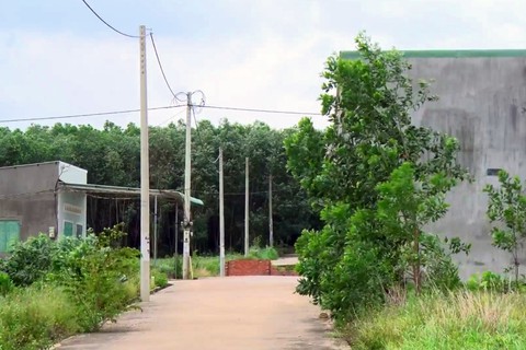 Đồng Nai thanh tra việc phân lô bán nền, xây dựng trái phép - Ảnh 1. Đồng Nai thanh tra việc phân lô bán nền, xây dựng trái phép - Ảnh 1.