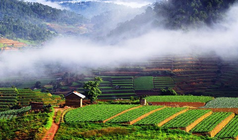 Đừng hi sinh du lịch và hệ sinh thái Đà Lạt - Ảnh 1. Đừng hi sinh du lịch và hệ sinh thái Đà Lạt - Ảnh 1.