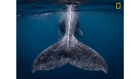 Ngắm ảnh du lịch đoạt giải National Geographic 2018 - Ảnh 1. Ngắm ảnh du lịch đoạt giải National Geographic 2018 - Ảnh 1.