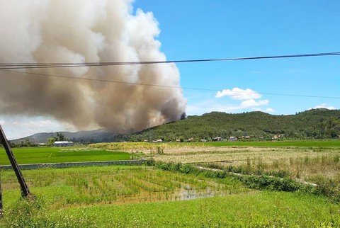 Hơn 500 người đang chữa cháy rừng thông ở Nghệ An - Ảnh 1. Hơn 500 người đang chữa cháy rừng thông ở Nghệ An - Ảnh 1.