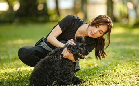 Thái Hòa, Phương Anh Đào vật lộn trên phim trường với… chó! - Ảnh 1. Thái Hòa, Phương Anh Đào vật lộn trên phim trường với… chó! - Ảnh 1.