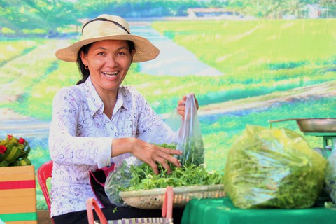 Làm giàu nhờ cây sâm biển - Ảnh 1. Làm giàu nhờ cây sâm biển - Ảnh 1.