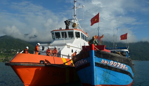 Chuyện ở Thọ Quang sau những ngày gặp nạn - Ảnh 4. Chuyện ở Thọ Quang sau những ngày gặp nạn - Ảnh 4.