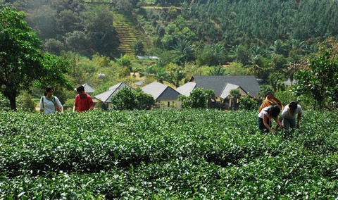 Nguyên nữ đại biểu Quốc hội chết bất thường sau làm đẹp - Ảnh 3. Nguyên nữ đại biểu Quốc hội chết bất thường sau làm đẹp - Ảnh 3.