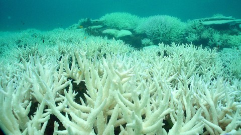 Australia cảnh báo khả năng xuất hiện El Nino trong năm nay - Ảnh 1. Australia cảnh báo khả năng xuất hiện El Nino trong năm nay - Ảnh 1.