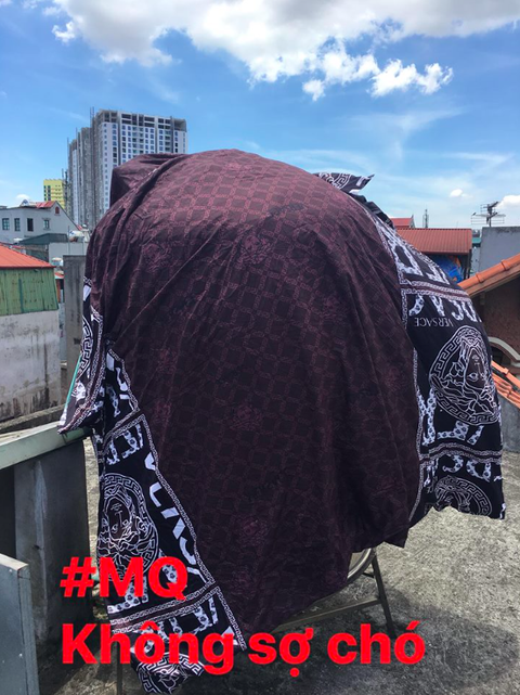 Dân mạng chia sẻ phương pháp sống sót trong nắng nóng kỷ lục - Ảnh 6. Dân mạng chia sẻ phương pháp sống sót trong nắng nóng kỷ lục - Ảnh 6.