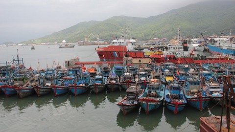 Thọ Quang - quả bom thối giữa lòng đô thị - Ảnh 3.