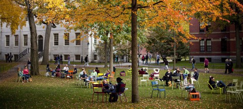 Thu vàng Boston - Ảnh 2. Thu vàng Boston - Ảnh 2.