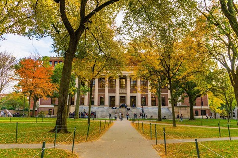 Thu vàng Boston - Ảnh 3. Thu vàng Boston - Ảnh 3.