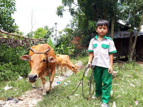 Ước mơ của hai cậu học trò miền núi Bắc Trà My - Ảnh 1. Ước mơ của hai cậu học trò miền núi Bắc Trà My - Ảnh 1.