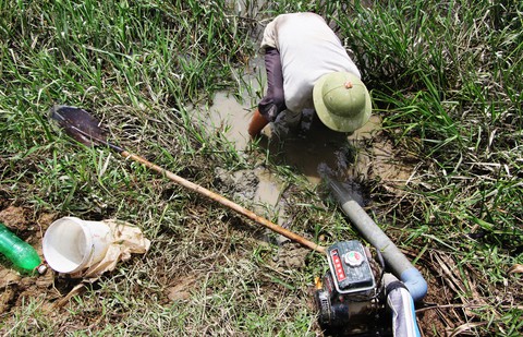 Dân Nghệ An căng mình vét nước cứu lúa - Ảnh 6. Dân Nghệ An căng mình vét nước cứu lúa - Ảnh 6.