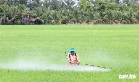 Cả trăm ngàn tấn thuốc bảo vệ thực vật đổ xuống ruộng đồng mỗi năm - Ảnh 1. Cả trăm ngàn tấn thuốc bảo vệ thực vật đổ xuống ruộng đồng mỗi năm - Ảnh 1.