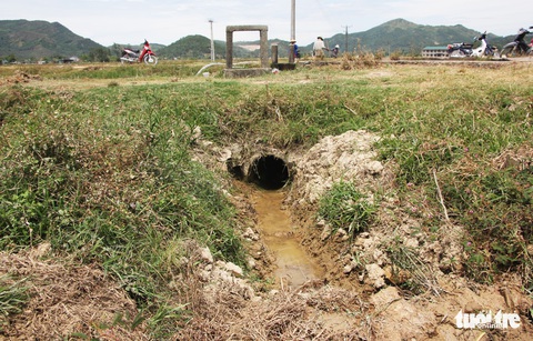 Dân Nghệ An căng mình vét nước cứu lúa - Ảnh 3. Dân Nghệ An căng mình vét nước cứu lúa - Ảnh 3.
