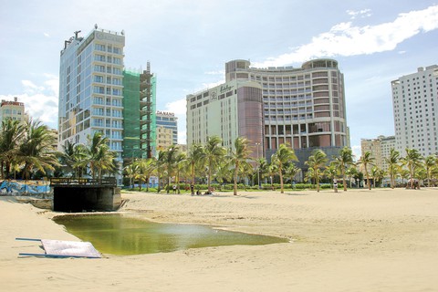 Nước biển Đà Nẵng an toàn, người tắm mẩn ngứa nghi do sao biển - Ảnh 1. Nước biển Đà Nẵng an toàn, người tắm mẩn ngứa nghi do sao biển - Ảnh 1.