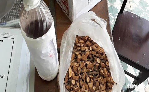 Một người chết nghi do uống rượu ngâm rễ cây rừng - Ảnh 1. Một người chết nghi do uống rượu ngâm rễ cây rừng - Ảnh 1.