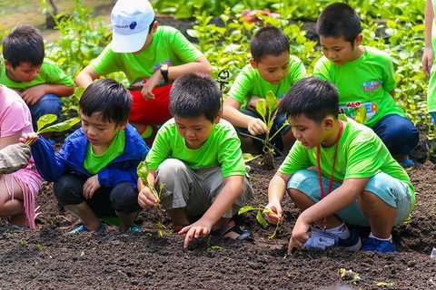 Tại sao phải gây áp lực học hành lên con trẻ? - Ảnh 2. Tại sao phải gây áp lực học hành lên con trẻ? - Ảnh 2.
