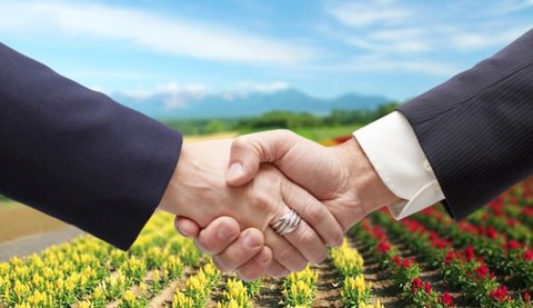 Đảo chiều nông nghiệp - Ảnh 1. Đảo chiều nông nghiệp - Ảnh 1.