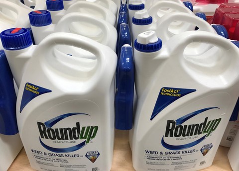 Bản án lịch sử và hàng ngàn đơn kiện chờ Monsanto - Ảnh 1. Bản án lịch sử và hàng ngàn đơn kiện chờ Monsanto - Ảnh 1.