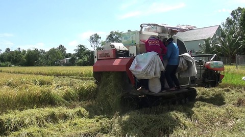 Làm gì để nông sản bớt nhiễm độc? - Ảnh 1. Làm gì để nông sản bớt nhiễm độc? - Ảnh 1.
