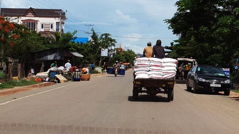 Nông dân trồng mía điêu đứng vì đường lậu hoành hành - Ảnh 2. Nông dân trồng mía điêu đứng vì đường lậu hoành hành - Ảnh 2.