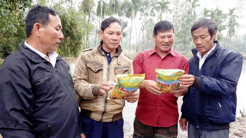 Những người tiên phong với lúa sạch - Ảnh 1. Những người tiên phong với lúa sạch - Ảnh 1.