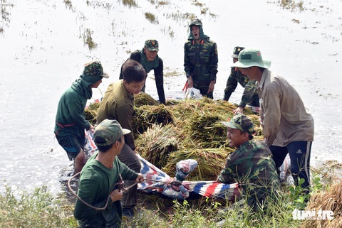 Sáng đêm giữ đê cứu lúa - Ảnh 6. Sáng đêm giữ đê cứu lúa - Ảnh 6.