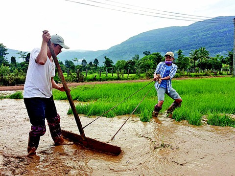 Lính Cụ Hồ sang Lào giúp bạn - Ảnh 14. Lính Cụ Hồ sang Lào giúp bạn - Ảnh 14.