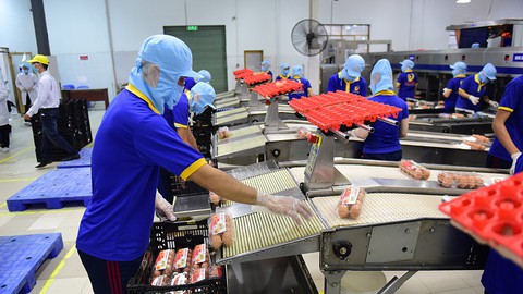 Mua bán và sáp nhập doanh nghiệp: Cuộc chơi chưa cân sức! - Ảnh 2. Mua bán và sáp nhập doanh nghiệp: Cuộc chơi chưa cân sức! - Ảnh 2.
