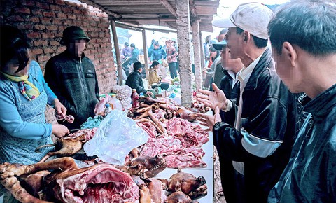 Hà Nội nói không với thịt chó? - Ảnh 1. Hà Nội nói không với thịt chó? - Ảnh 1.