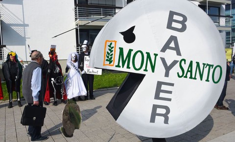 Chất diệt cỏ glyphosate gây ung thư: Monsanto muốn thoát thân? - Ảnh 3. Chất diệt cỏ glyphosate gây ung thư: Monsanto muốn thoát thân? - Ảnh 3.